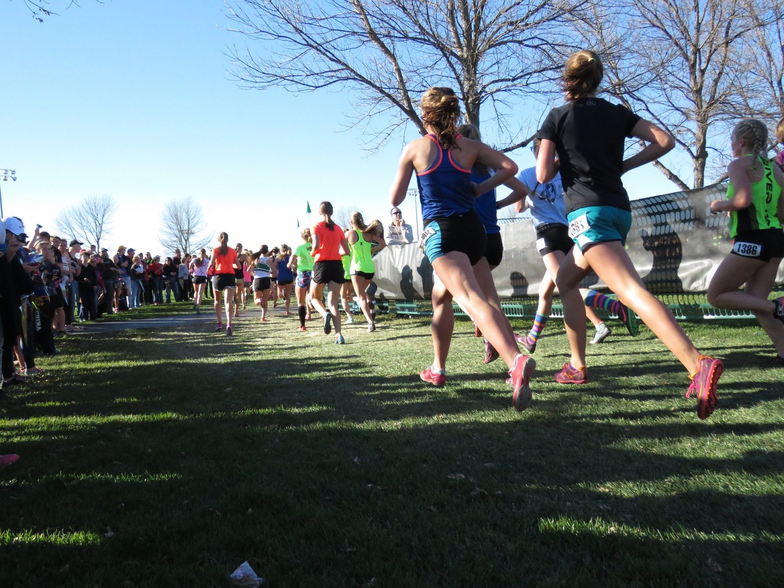 what-is-cross-country-running-shoe-finale